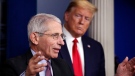 In this April 22, 2020 file photo, President Donald Trump watches as Dr. Anthony Fauci, director of the National Institute of Allergy and Infectious Diseases, speaks about the coronavirus in the James Brady Press Briefing Room of the White House in Washington. (AP Photo/Alex Brandon)